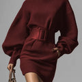 Women’s Brown Bodycon Mini Dress — Boat Neck, Long Sleeve Red