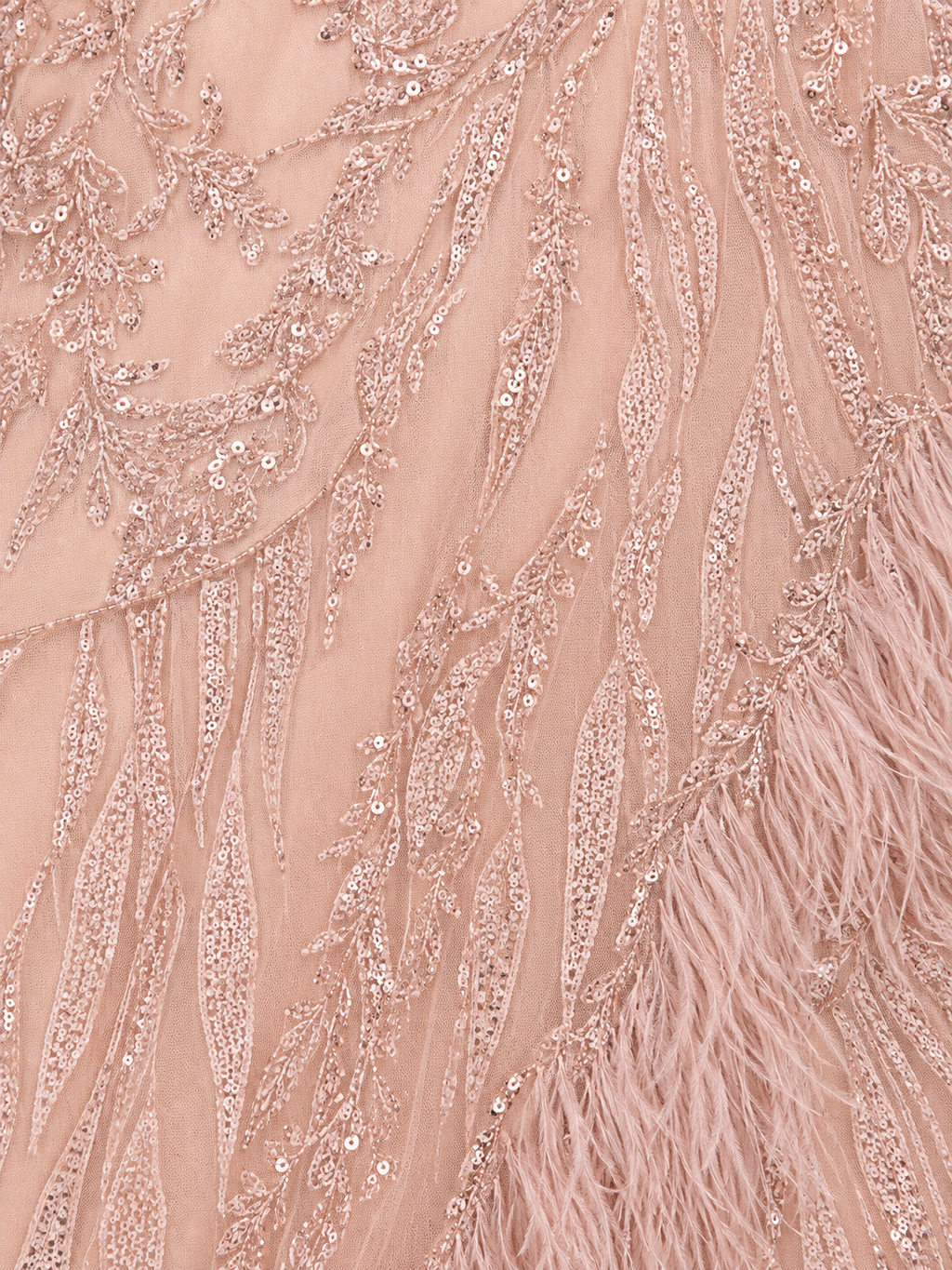 Long Sleeve V-Neck Lace Gown with Feathers