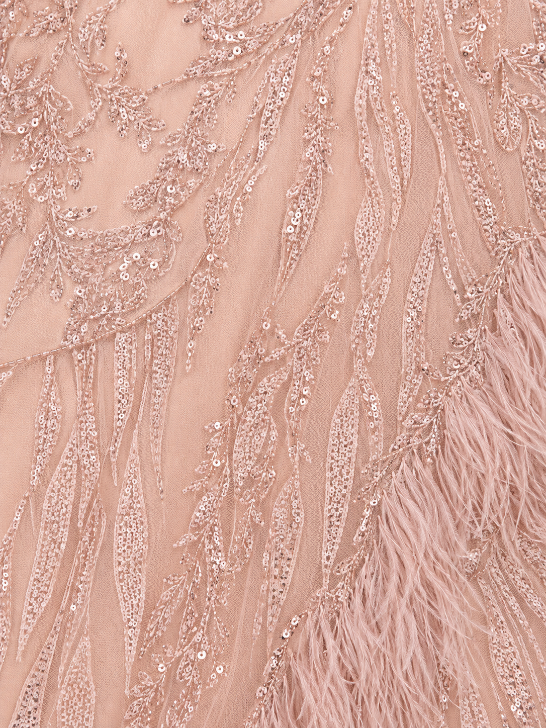 Long Sleeve V-Neck Lace Gown with Feathers