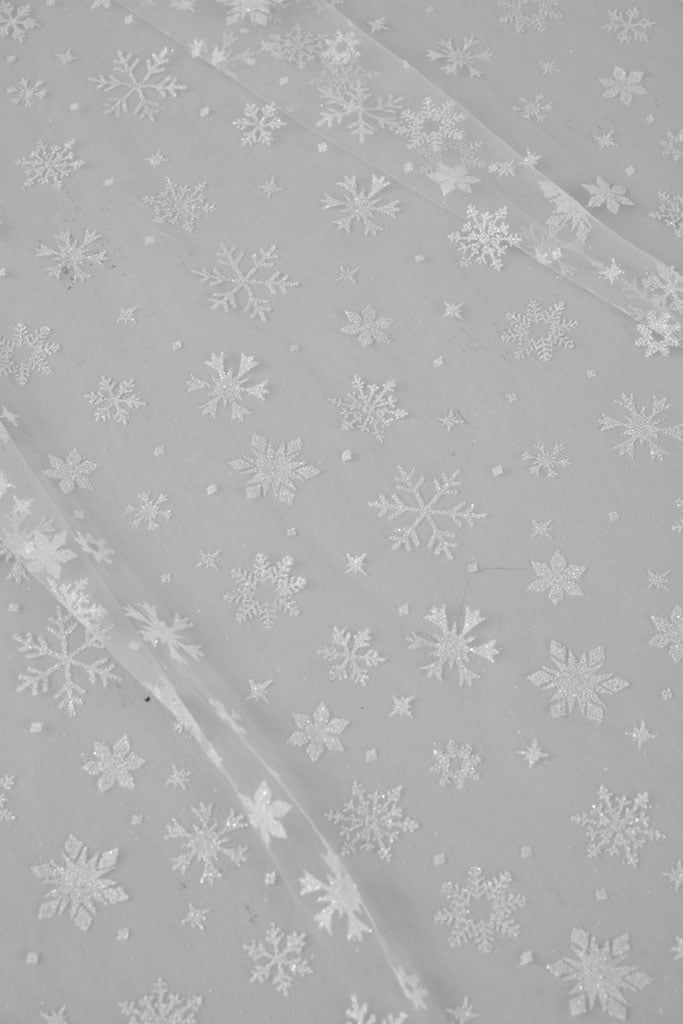 Winter Inspired Cathedral Wedding Veil
