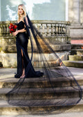 Black English Net Veil Cathedral Wide - 110 inches