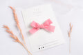 Classic Mini Velvet-Posey Pink Alligator Clip